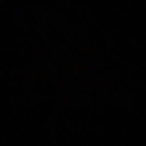 Meet your Posher, Jayla